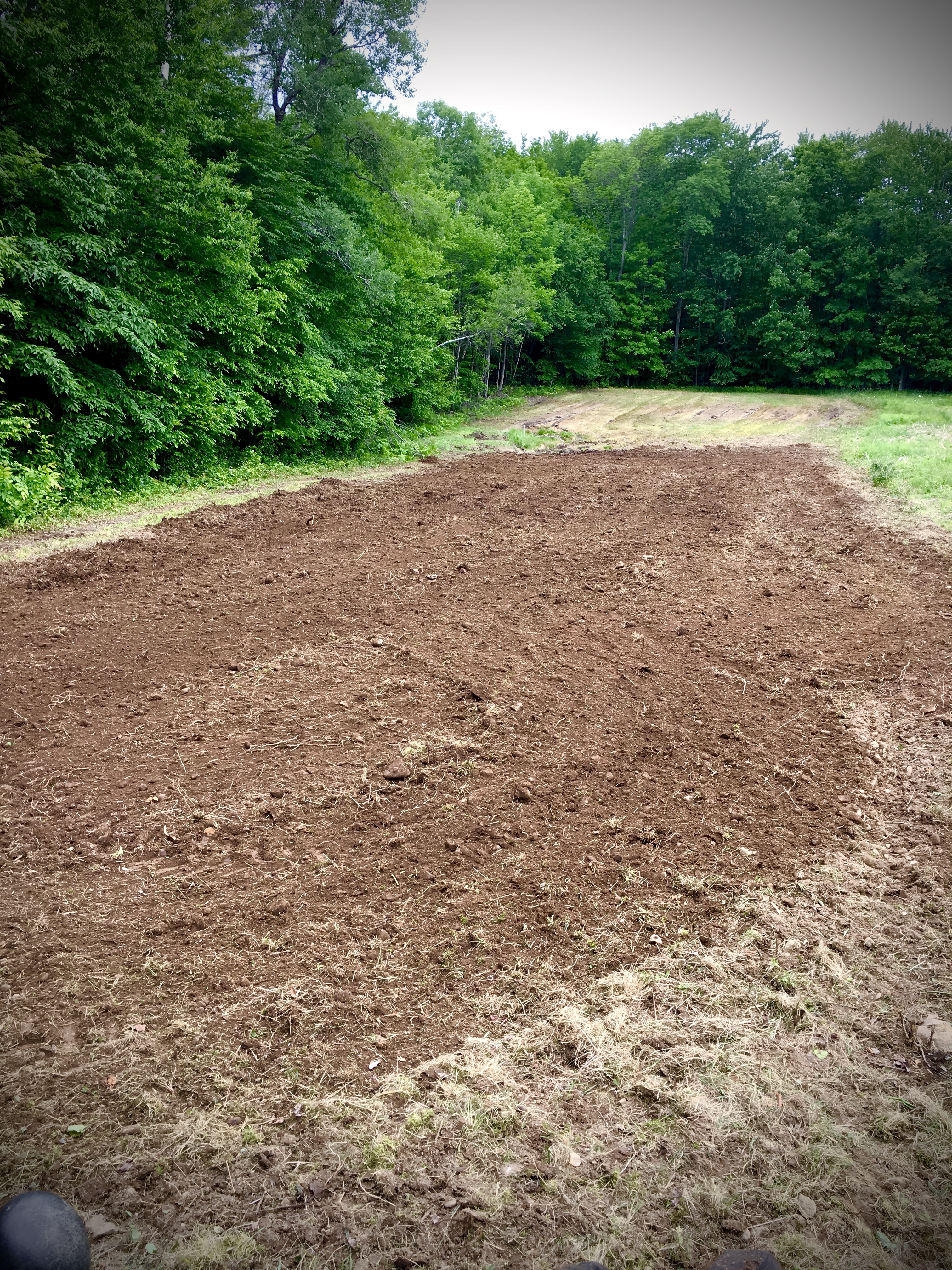 Food Plot Work